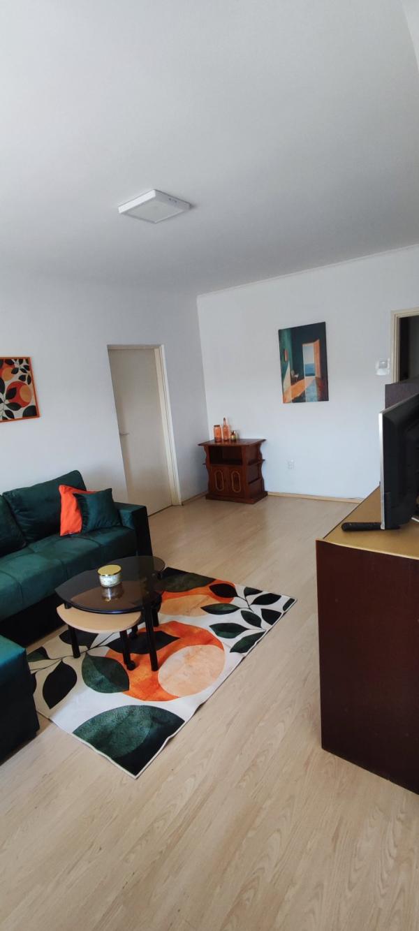 Slika 2 - Stanka Paunovica Veljka, Dvosoban stan za izdavanje, 53m2, 420€